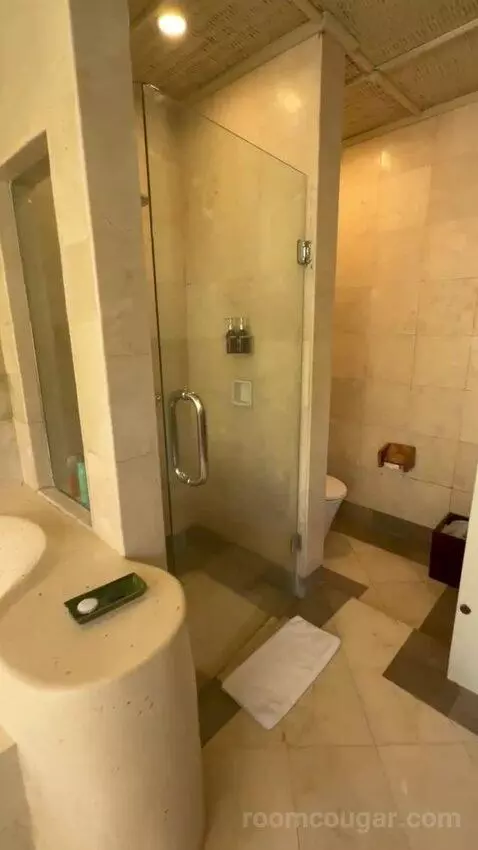 Superior Pool Villa (#104) bathroom picture #1