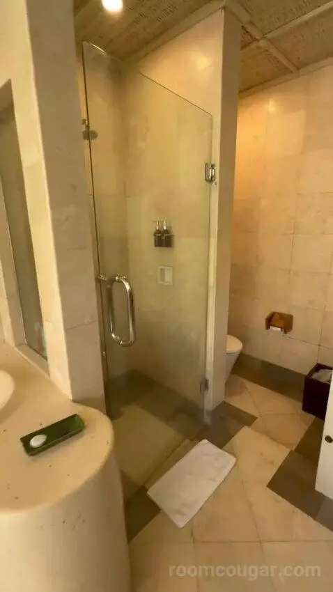 Superior Pool Villa (#104) bathroom picture #2
