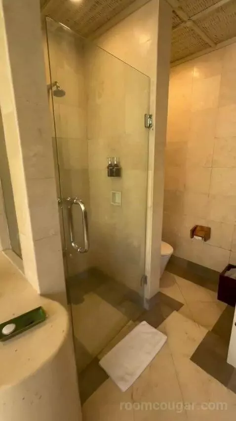 Superior Pool Villa (#104) bathroom picture #3
