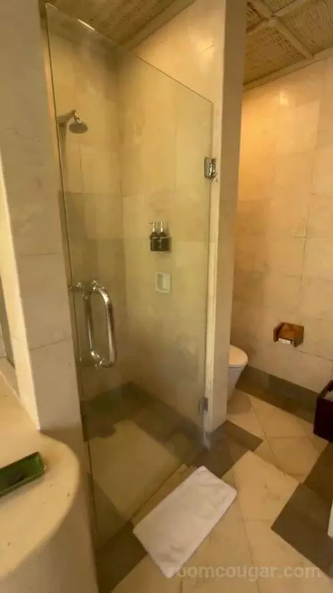 Superior Pool Villa (#104) bathroom picture #4