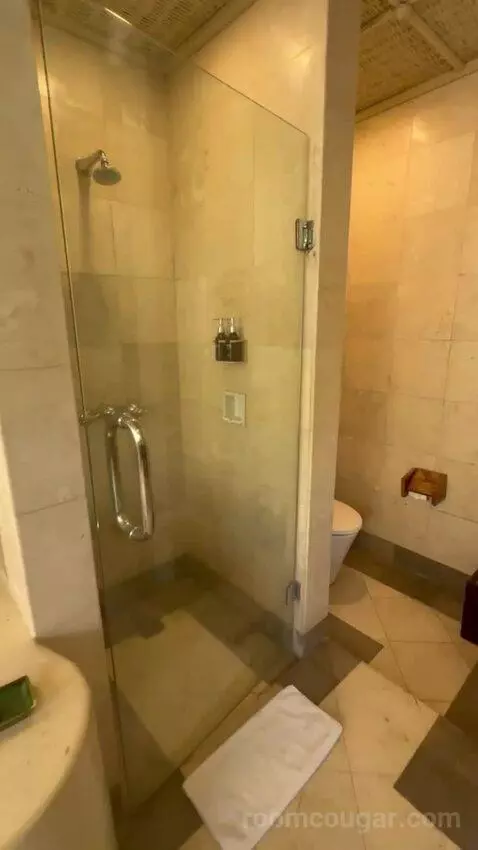 Superior Pool Villa (#104) bathroom picture #5