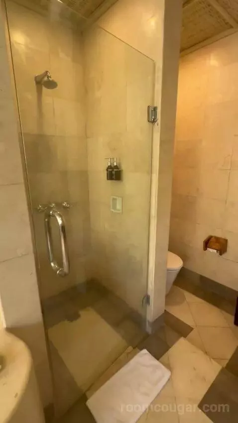 Superior Pool Villa (#104) bathroom picture #6