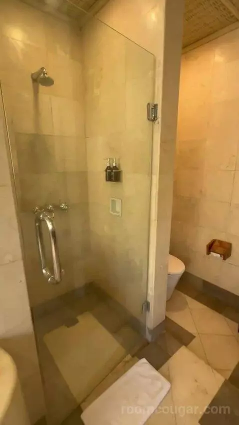 Superior Pool Villa (#104) bathroom picture #7