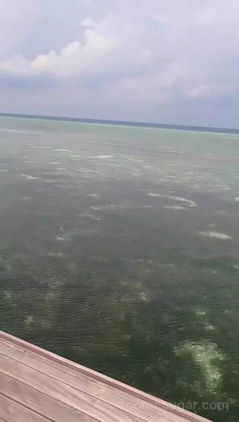 Sangu Water Villa (#505) view picture #4