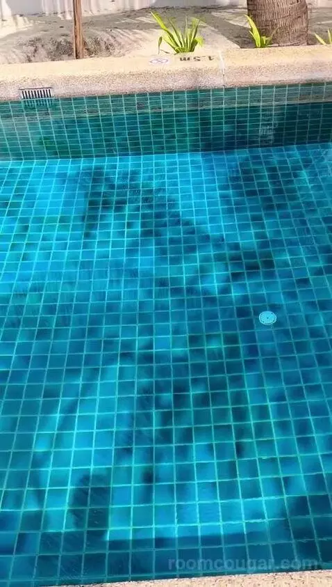 Private Pool Villa (#164) view picture #4