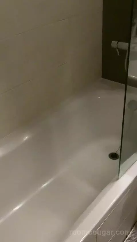 Standard (N/A) bathroom picture #4