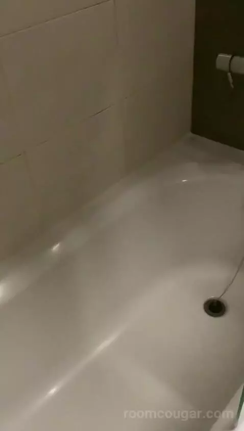 Standard (N/A) bathroom picture #7