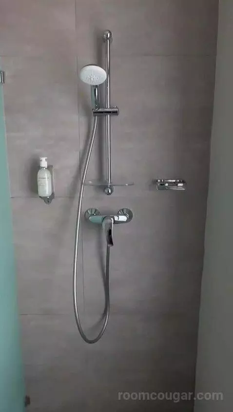 Standard (N/A) bathroom picture #8