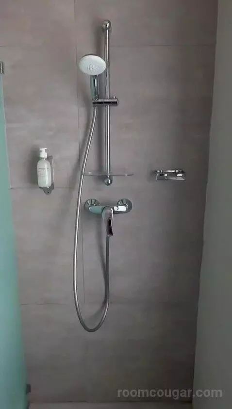 Standard (N/A) bathroom picture #10