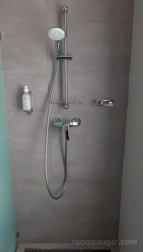 Standard (N/A) bathroom picture #12