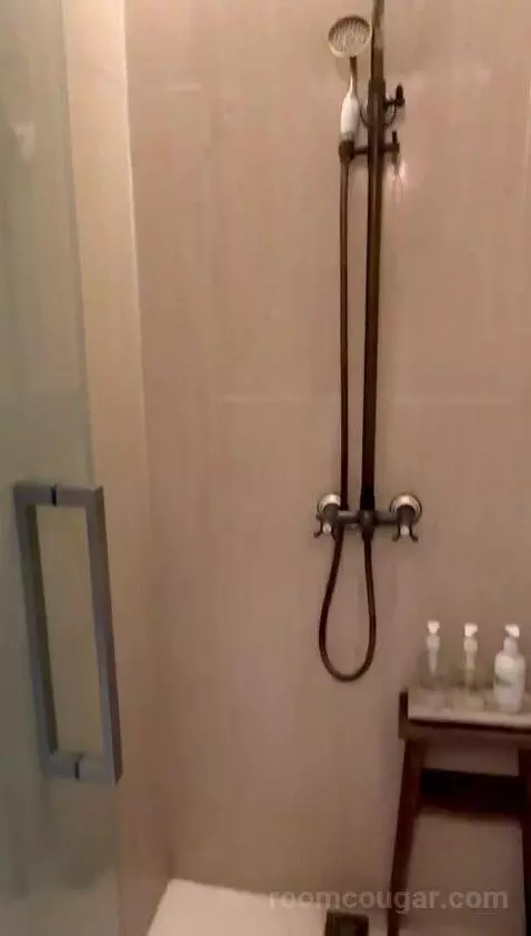 Standard (A208) bathroom picture #5