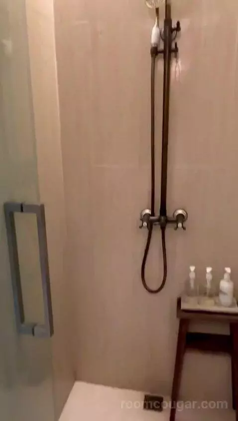 Standard (A208) bathroom picture #6