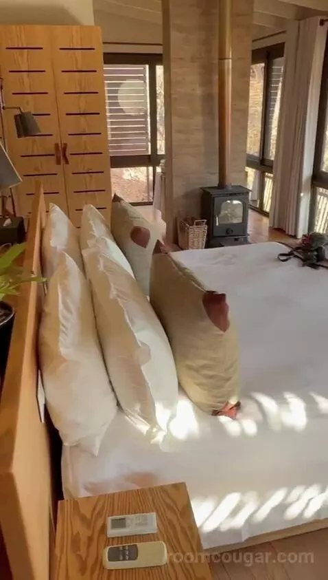 Standard (#1) bed picture #1