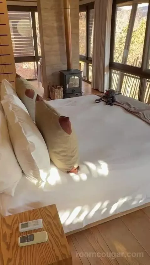 Standard (#1) bed picture #8