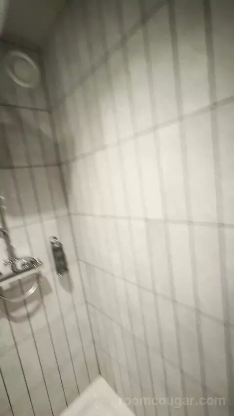 Standard (#2139) bathroom picture #6