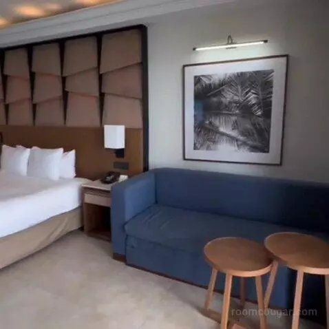 Ocean Front Junior Suite King (C807) bed picture #2