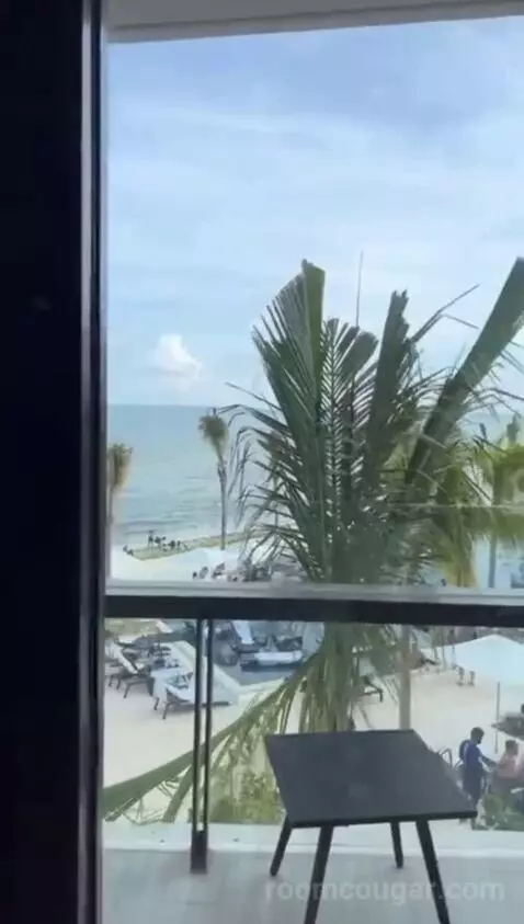 King Guest Room - Oceanfront (#2533) view picture #3