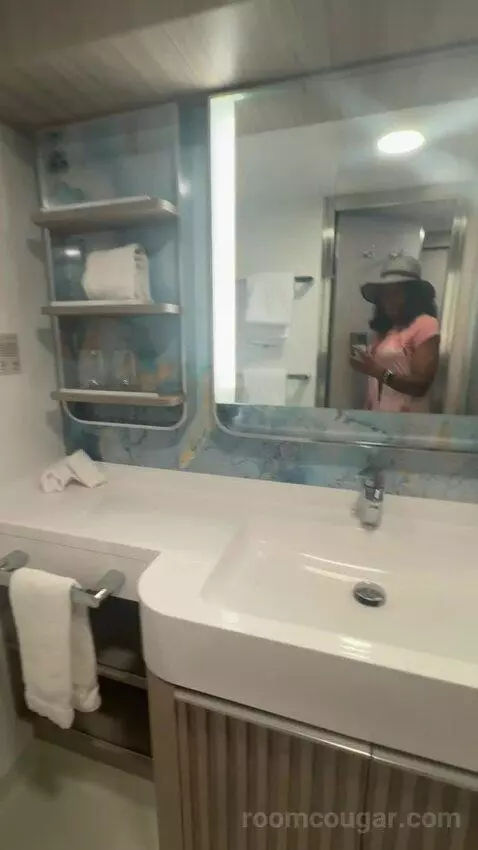 Balcony Stateroom (#10810) bathroom picture #5