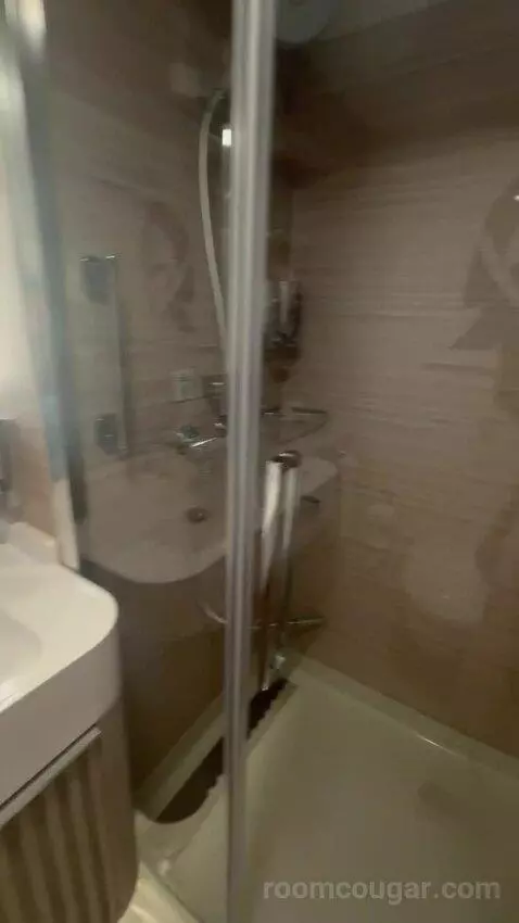 Balcony Stateroom (#10810) bathroom picture #8