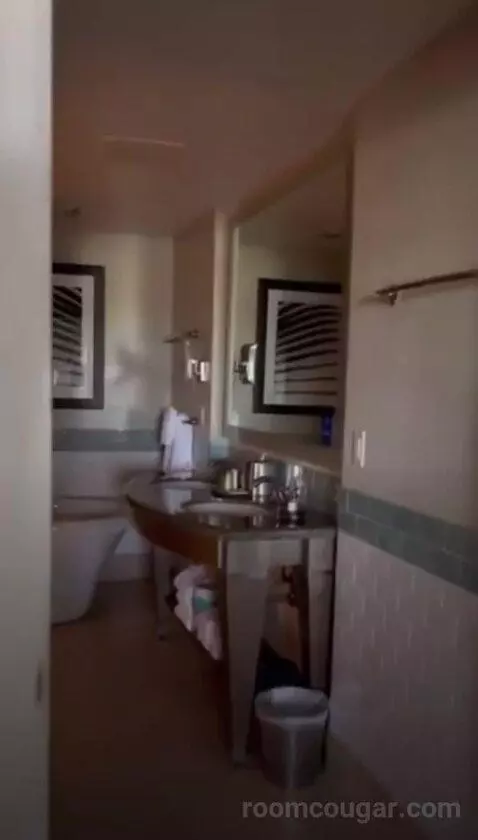 1 Bedroom Suite (#1708) bathroom picture #2