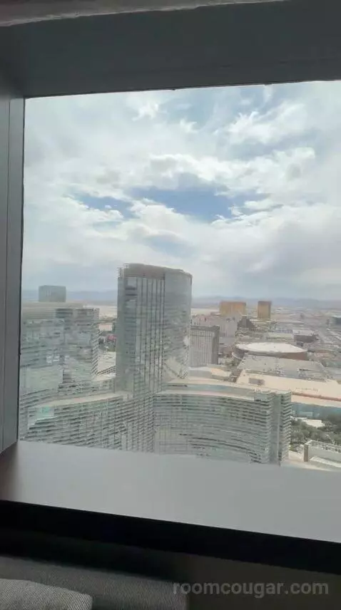 Vdara Suite (#52023) view picture #1
