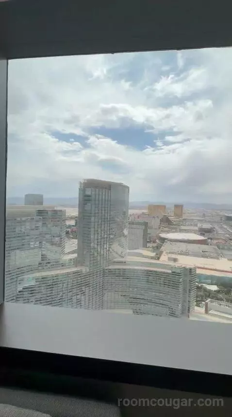 Vdara Suite (#52023) view picture #2