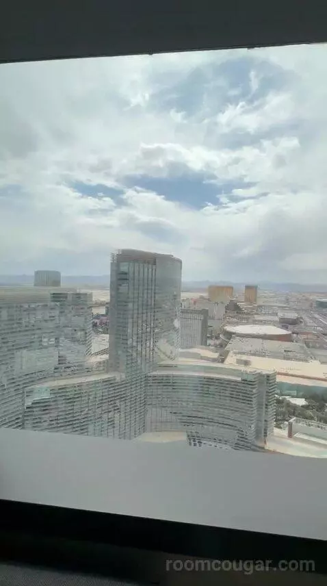 Vdara Suite (#52023) view picture #3