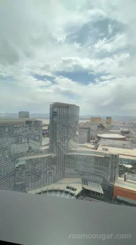 Vdara Suite (#52023) view picture #6