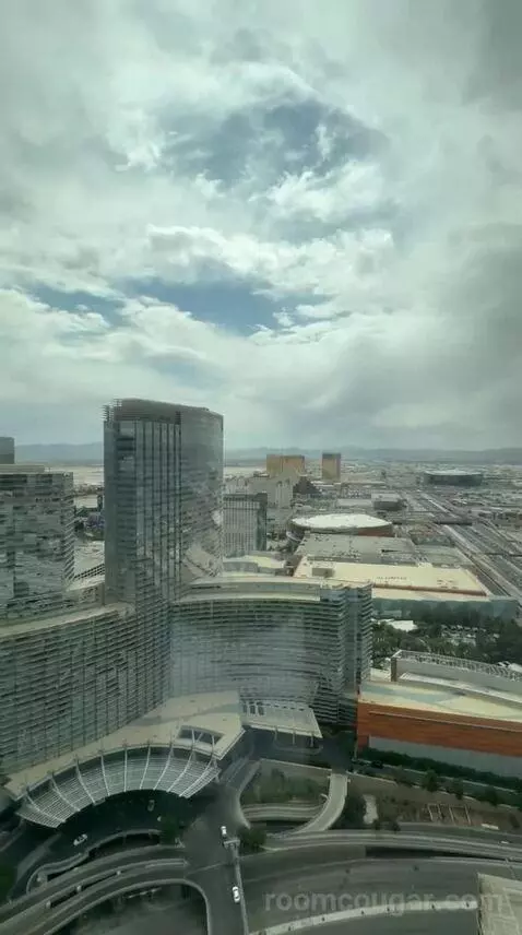 Vdara Suite (#52023) view picture #8