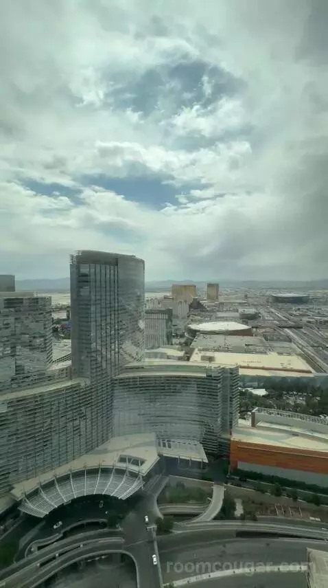 Vdara Suite (#52023) view picture #9