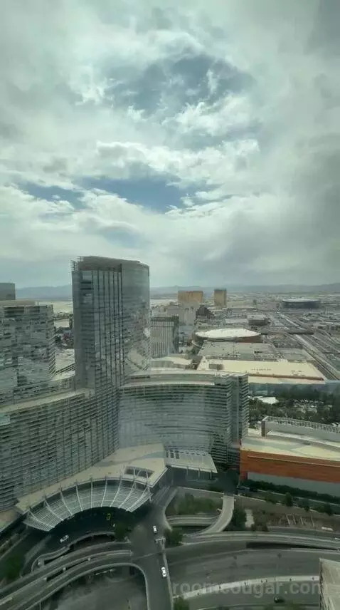 Vdara Suite (#52023) view picture #11