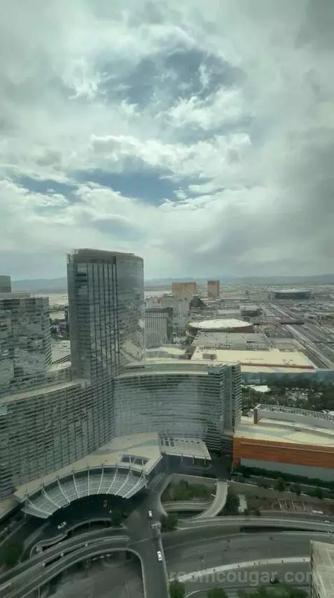 Vdara Suite (#52023) view picture #12