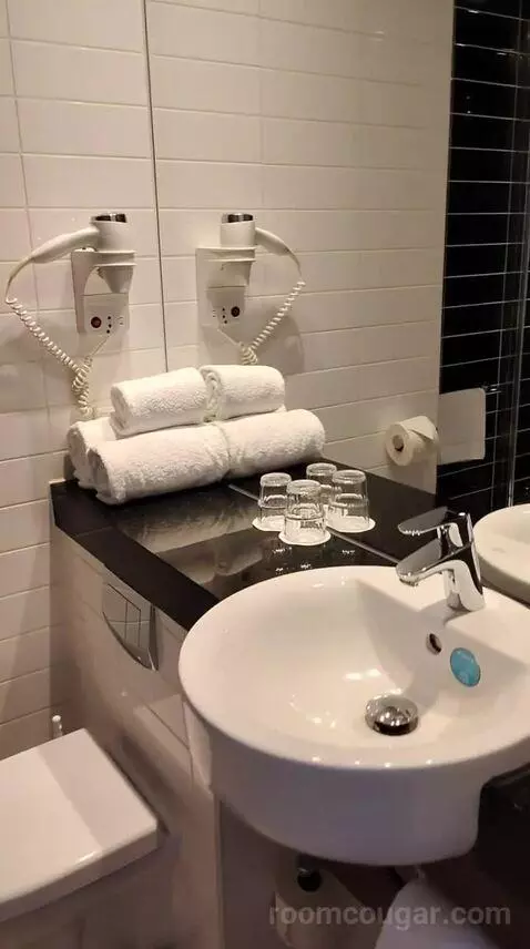 Standard Double Room (#731) bathroom picture #1