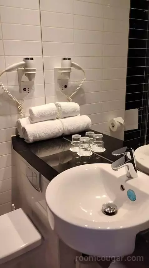 Standard Double Room (#731) bathroom picture #2