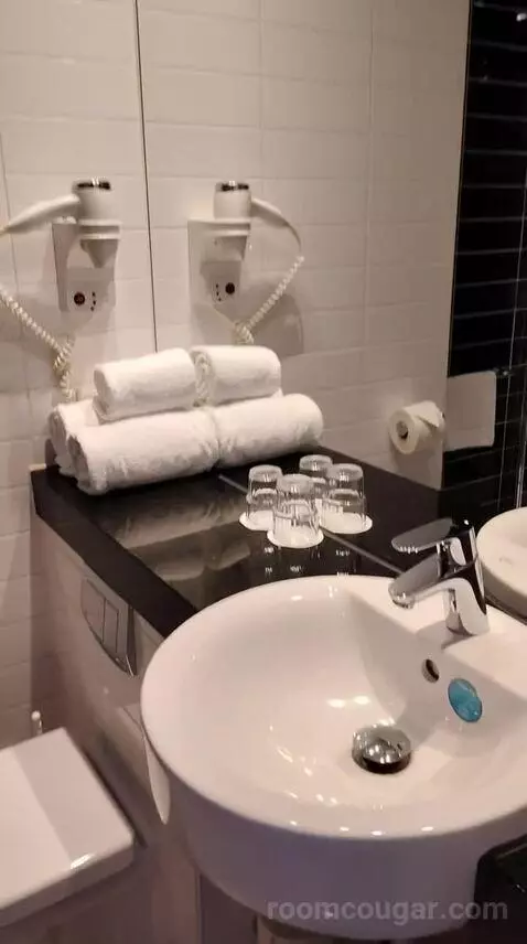 Standard Double Room (#731) bathroom picture #3