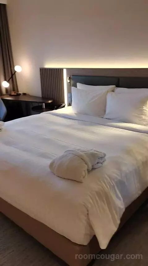 Deluxe King Room (#515) bed picture #2