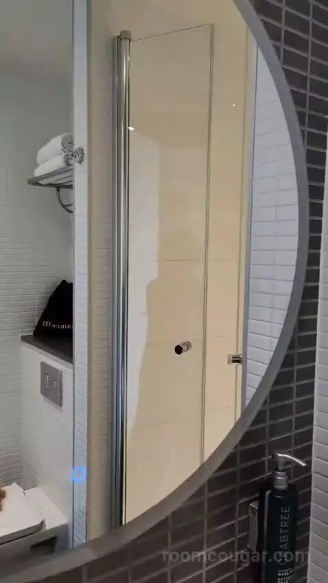 Deluxe King Room with City View (#918) bathroom picture #12