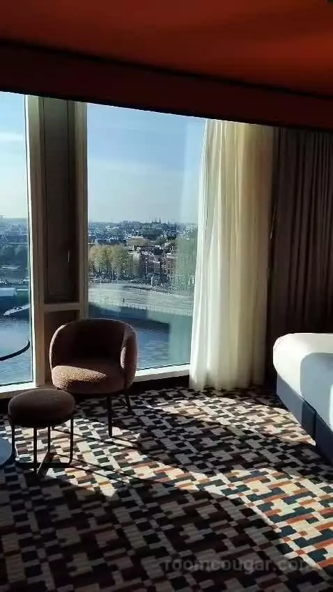 Deluxe King Room with City View (#918) bed picture #10