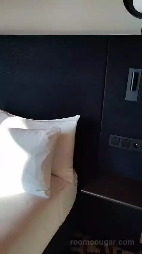 Deluxe King Room with City View (#918) bed picture #2
