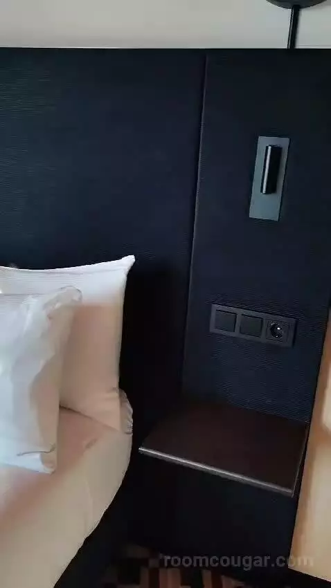 Deluxe King Room with City View (#918) bed picture #3
