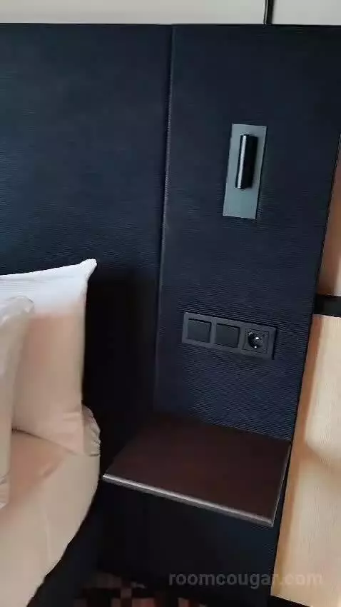Deluxe King Room with City View (#918) bed picture #4