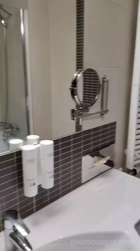 Superior Double Room (#102) bathroom picture #4