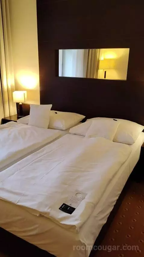 Superior Double Room (#102) picture #3