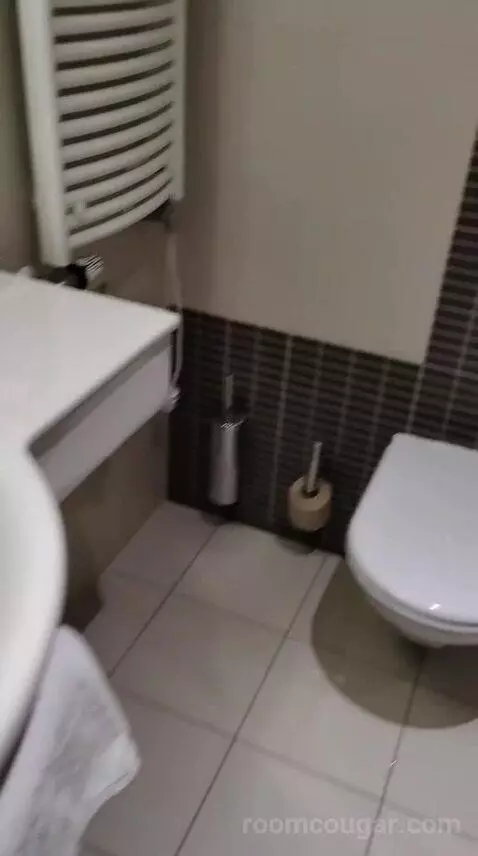 Superior Double Room (#102) bathroom picture #7