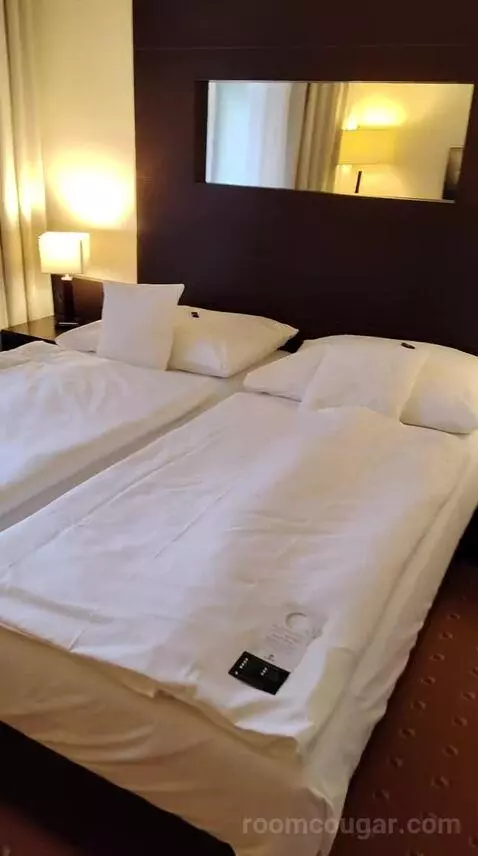 Superior Double Room (#102) bed picture #4