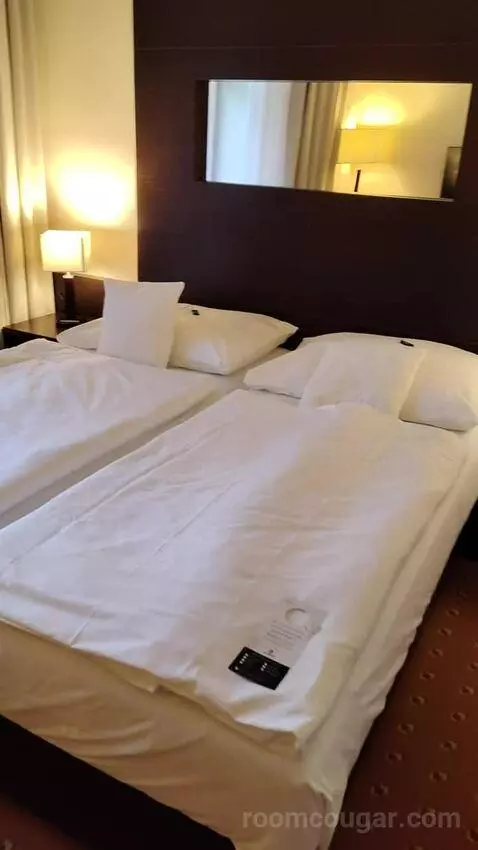 Superior Double Room (#102) picture #4