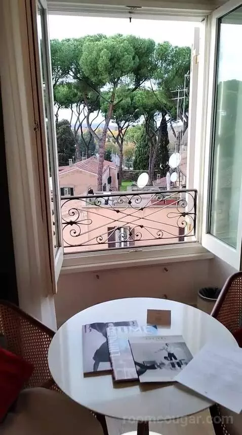 Luxury Room with View (#506) view picture #2