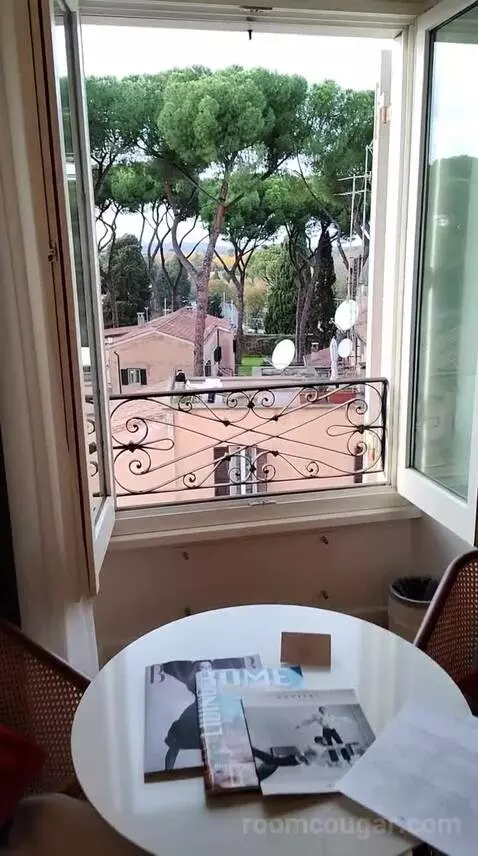 Luxury Room with View (#506) view picture #3