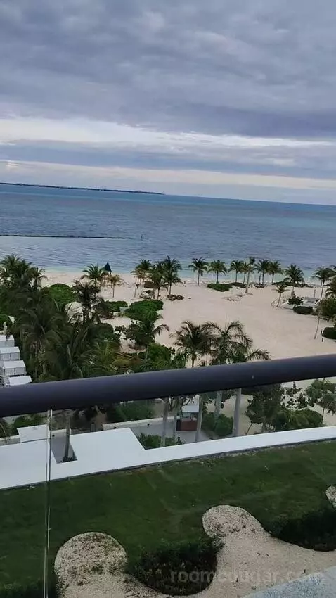 Delight Ocean View King (#2550) view picture #10