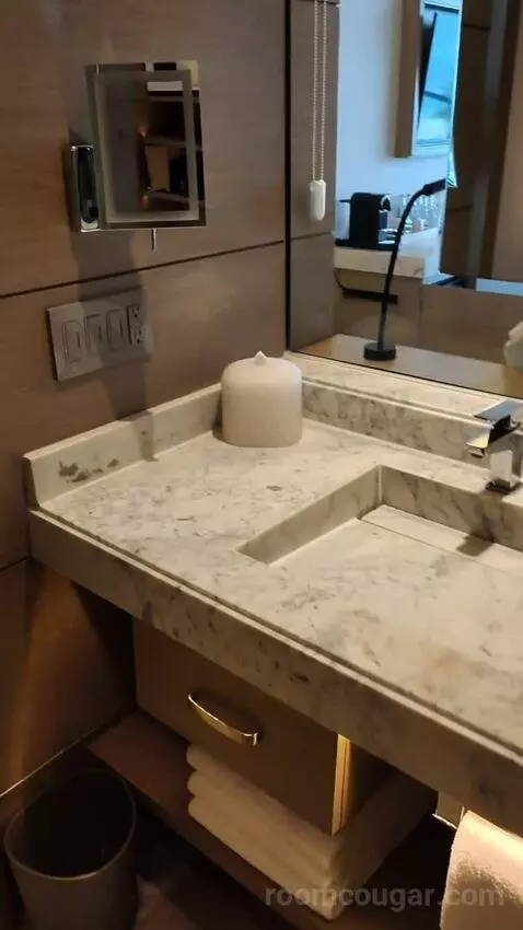 Delight Ocean View King (#2550) bathroom picture #2